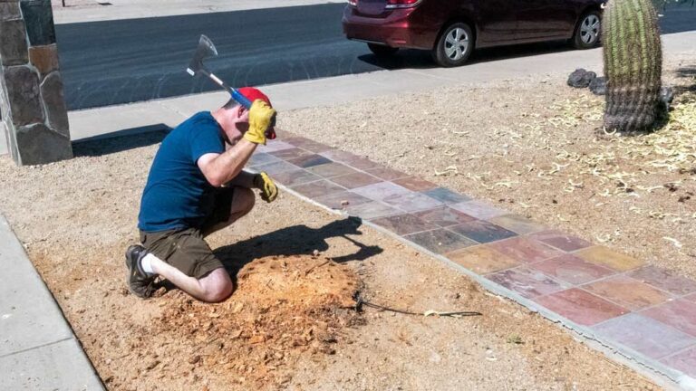 palm tree stump grinding los angeles